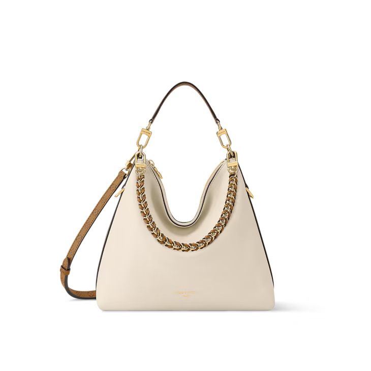 LV Multipass bag